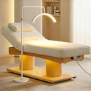 76‘’ Electric Massage Table with Adjustable Angle